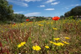 Balearic islands Spain