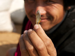 Myanmar