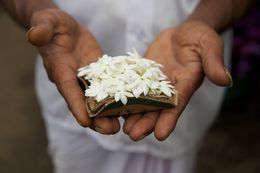 Sri Lanka