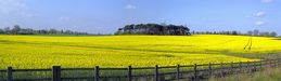 Warwickshire England